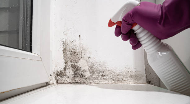 Water damage restoration mold remediation in Lake Dalecarlia, IN